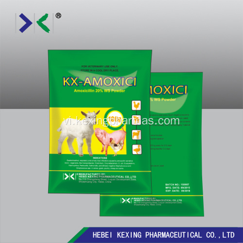 Amoxicillin hòa tan trong nước bột